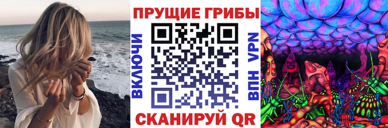 ОМГ ОМГ tor  Тюмень  Псилоцибиновые грибы MAGIC MUSHROOMS 